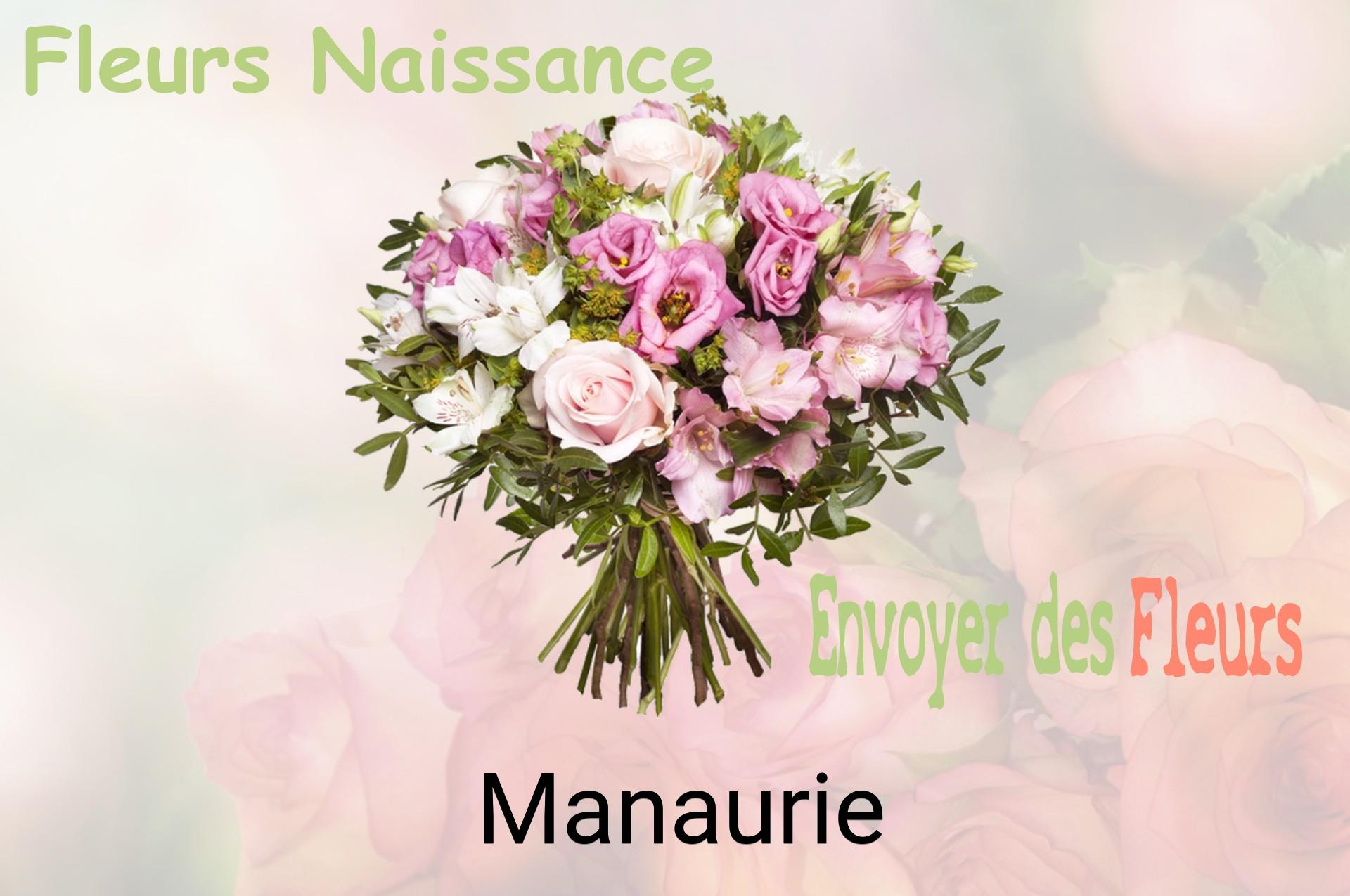 Bouquet de fleurs de naissance livré à Manaurie